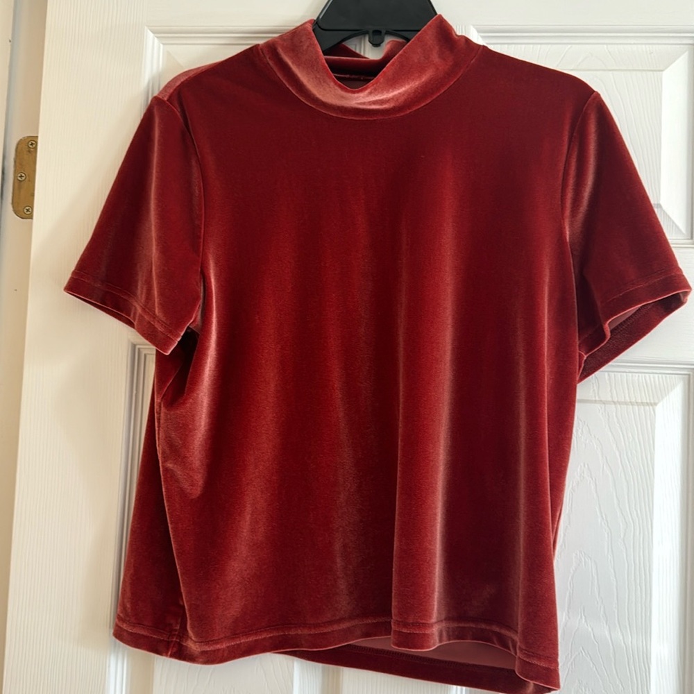 Burnt orange velvet turtle neck top